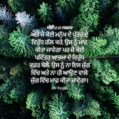 Picture 04 - ਮੱਤੀ 12:32 PANIRV - ਅਤੇ ਜੇ ਕੋਈ ਮਨੁੱਖ ਦੇ - Bible Verse Picture