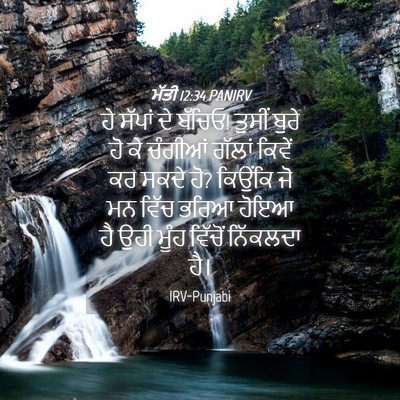 Picture 04 - ਮੱਤੀ 12:34 PANIRV - ਹੇ ਸੱਪਾਂ ਦੇ ਬੱਚਿਓ! - Bible Verse Picture