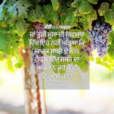 Picture 04 - ਮੱਤੀ 12:5 PANIRV - ਜਾਂ ਤੁਸੀਂ ਮੂਸਾ ਦੀ - Bible Verse Picture