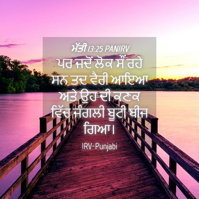 Picture 04 - ਮੱਤੀ 13:25 PANIRV - ਪਰ ਜਦੋਂ ਲੋਕ ਸੌਂ ਰਹੇ - Bible Verse Picture