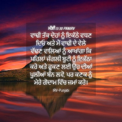 Picture 04 - ਮੱਤੀ 13:30 PANIRV - ਵਾਢੀ ਤੱਕ ਦੋਹਾਂ ਨੂੰ - Bible Verse Picture