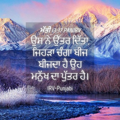 Picture 04 - ਮੱਤੀ 13:37 PANIRV - ਉਸ ਨੇ ਉੱਤਰ ਦਿੱਤਾ, - Bible Verse Picture