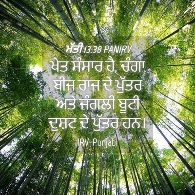 Picture 04 - ਮੱਤੀ 13:38 PANIRV - ਖੇਤ ਸੰਸਾਰ ਹੈ, ਚੰਗਾ - Bible Verse Picture
