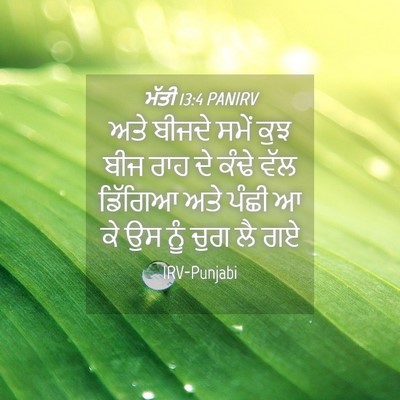 Picture 04 - ਮੱਤੀ 13:4 PANIRV - ਅਤੇ ਬੀਜਦੇ ਸਮੇਂ ਕੁਝ - Bible Verse Picture