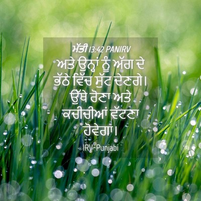 Picture 04 - ਮੱਤੀ 13:42 PANIRV - ਅਤੇ ਉਨ੍ਹਾਂ ਨੂੰ ਅੱਗ - Bible Verse Picture
