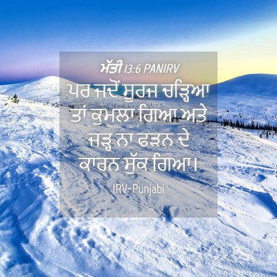 Picture 04 - ਮੱਤੀ 13:6 PANIRV - ਪਰ ਜਦੋਂ ਸੂਰਜ - Bible Verse Picture