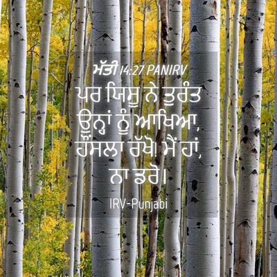 Picture 04 - ਮੱਤੀ 14:27 PANIRV - ਪਰ ਯਿਸੂ ਨੇ ਤੁਰੰਤ - Bible Verse Picture