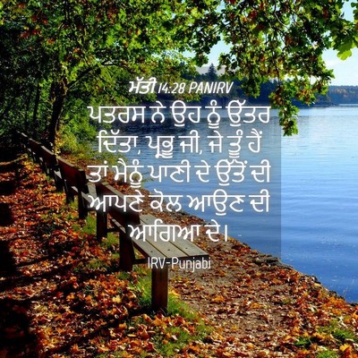 Picture 04 - ਮੱਤੀ 14:28 PANIRV - ਪਤਰਸ ਨੇ ਉਹ ਨੂੰ ਉੱਤਰ - Bible Verse Picture