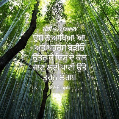 Picture 04 - ਮੱਤੀ 14:29 PANIRV - ਉਸ ਨੇ ਆਖਿਆ, ਆ, ਅਤੇ - Bible Verse Picture