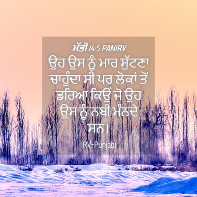Picture 04 - ਮੱਤੀ 14:5 PANIRV - ਉਹ ਉਸ ਨੂੰ ਮਾਰ - Bible Verse Picture