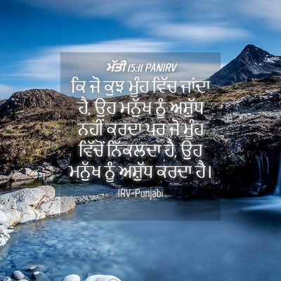Picture 04 - ਮੱਤੀ 15:11 PANIRV - ਕਿ ਜੋ ਕੁਝ ਮੂੰਹ ਵਿੱਚ - Bible Verse Picture