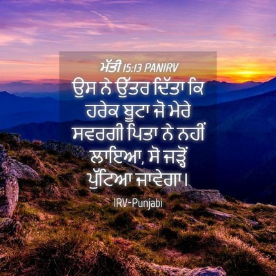 Picture 04 - ਮੱਤੀ 15:13 PANIRV - ਉਸ ਨੇ ਉੱਤਰ ਦਿੱਤਾ ਕਿ - Bible Verse Picture