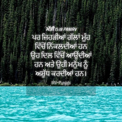 Picture 04 - ਮੱਤੀ 15:18 PANIRV - ਪਰ ਜਿਹੜੀਆਂ ਗੱਲਾਂ - Bible Verse Picture