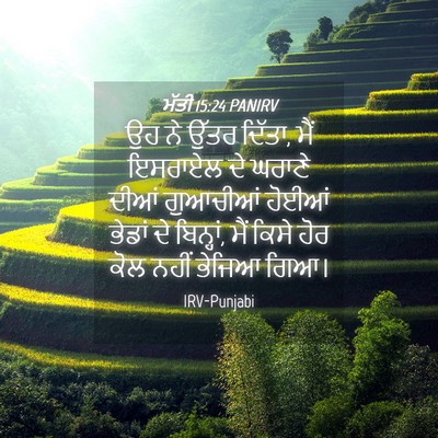 Picture 04 - ਮੱਤੀ 15:24 PANIRV - ਉਹ ਨੇ ਉੱਤਰ ਦਿੱਤਾ, - Bible Verse Picture