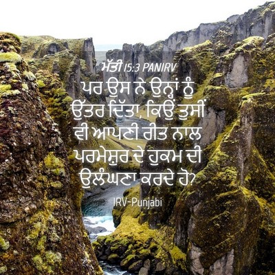 Picture 04 - ਮੱਤੀ 15:3 PANIRV - ਪਰ ਉਸ ਨੇ ਉਨ੍ਹਾਂ ਨੂੰ - Bible Verse Picture