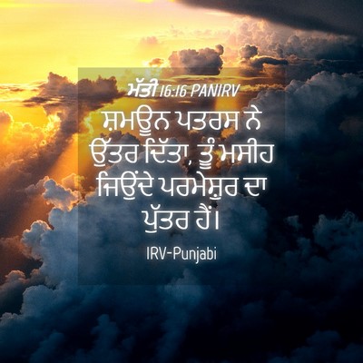 Picture 04 - ਮੱਤੀ 16:16 PANIRV - ਸ਼ਮਊਨ ਪਤਰਸ ਨੇ ਉੱਤਰ - Bible Verse Picture