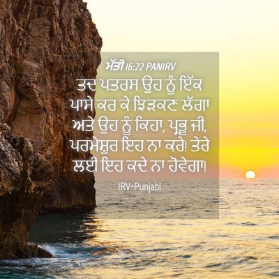 Picture 04 - ਮੱਤੀ 16:22 PANIRV - ਤਦ ਪਤਰਸ ਉਹ ਨੂੰ ਇੱਕ - Bible Verse Picture