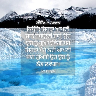 Picture 04 - ਮੱਤੀ 16:25 PANIRV - ਕਿਉਂਕਿ ਜਿਹੜਾ ਆਪਣੀ - Bible Verse Picture
