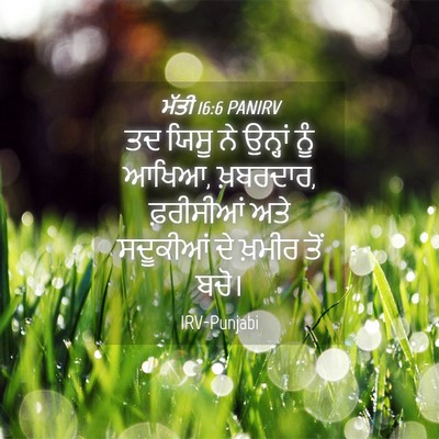 Picture 04 - ਮੱਤੀ 16:6 PANIRV - ਤਦ ਯਿਸੂ ਨੇ ਉਨ੍ਹਾਂ - Bible Verse Picture