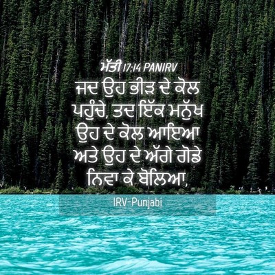 Picture 04 - ਮੱਤੀ 17:14 PANIRV - ਜਦ ਉਹ ਭੀੜ ਦੇ ਕੋਲ - Bible Verse Picture