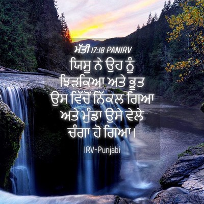 Picture 04 - ਮੱਤੀ 17:18 PANIRV - ਯਿਸੂ ਨੇ ਉਹ ਨੂੰ - Bible Verse Picture