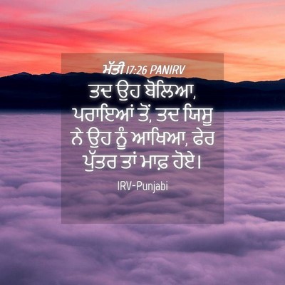 Picture 04 - ਮੱਤੀ 17:26 PANIRV - ਤਦ ਉਹ ਬੋਲਿਆ, ਪਰਾਇਆਂ - Bible Verse Picture