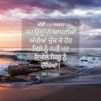 Picture 04 - ਮੱਤੀ 17:8 PANIRV - ਤਦ ਉਨ੍ਹਾਂ ਨੇ - Bible Verse Picture