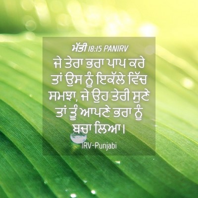 Picture 04 - ਮੱਤੀ 18:15 PANIRV - ਜੇ ਤੇਰਾ ਭਰਾ ਪਾਪ ਕਰੇ - Bible Verse Picture