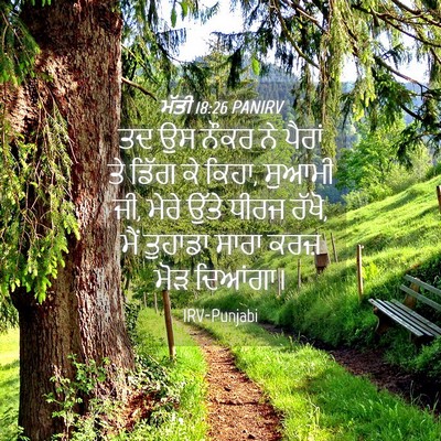 Picture 04 - ਮੱਤੀ 18:26 PANIRV - ਤਦ ਉਸ ਨੌਕਰ ਨੇ ਪੈਰਾਂ - Bible Verse Picture