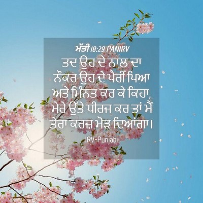 Picture 04 - ਮੱਤੀ 18:29 PANIRV - ਤਦ ਉਹ ਦੇ ਨਾਲ ਦਾ - Bible Verse Picture