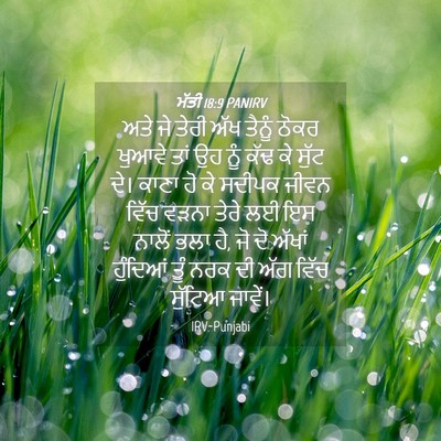Picture 04 - ਮੱਤੀ 18:9 PANIRV - ਅਤੇ ਜੇ ਤੇਰੀ ਅੱਖ - Bible Verse Picture