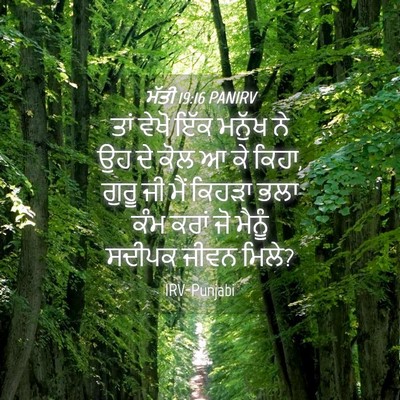 Picture 04 - ਮੱਤੀ 19:16 PANIRV - ਤਾਂ ਵੇਖੋ ਇੱਕ ਮਨੁੱਖ - Bible Verse Picture