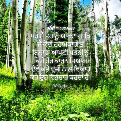 Picture 04 - ਮੱਤੀ 19:9 PANIRV - ਪਰ ਮੈਂ ਤੁਹਾਨੂੰ - Bible Verse Picture