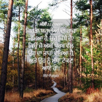 Picture 04 - ਮੱਤੀ 2:2 PANIRV - ਜਿਹੜਾ ਯਹੂਦੀਆਂ ਦਾ - Bible Verse Picture