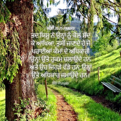 Picture 04 - ਮੱਤੀ 20:25 PANIRV - ਤਦ ਯਿਸੂ ਨੇ ਉਨ੍ਹਾਂ - Bible Verse Picture