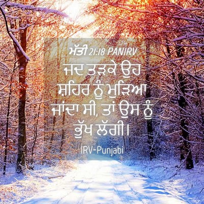 Picture 04 - ਮੱਤੀ 21:18 PANIRV - ਜਦ ਤੜਕੇ ਉਹ ਸ਼ਹਿਰ - Bible Verse Picture