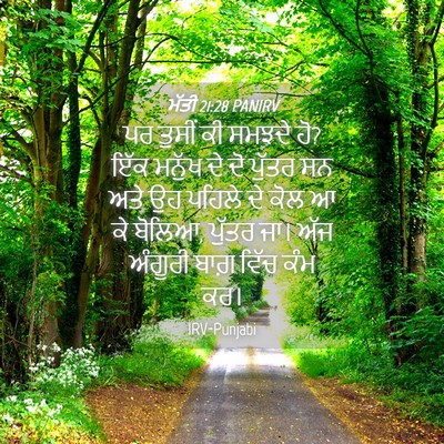 Picture 04 - ਮੱਤੀ 21:28 PANIRV - ਪਰ ਤੁਸੀਂ ਕੀ ਸਮਝਦੇ - Bible Verse Picture