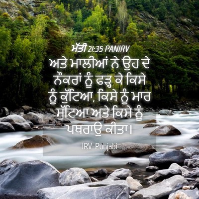 Picture 04 - ਮੱਤੀ 21:35 PANIRV - ਅਤੇ ਮਾਲੀਆਂ ਨੇ ਉਹ ਦੇ - Bible Verse Picture