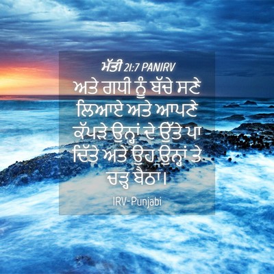 Picture 04 - ਮੱਤੀ 21:7 PANIRV - ਅਤੇ ਗਧੀ ਨੂੰ ਬੱਚੇ - Bible Verse Picture