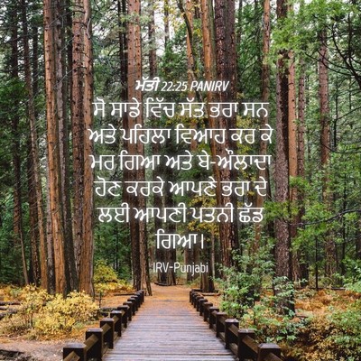 Picture 04 - ਮੱਤੀ 22:25 PANIRV - ਸੋ ਸਾਡੇ ਵਿੱਚ ਸੱਤ - Bible Verse Picture