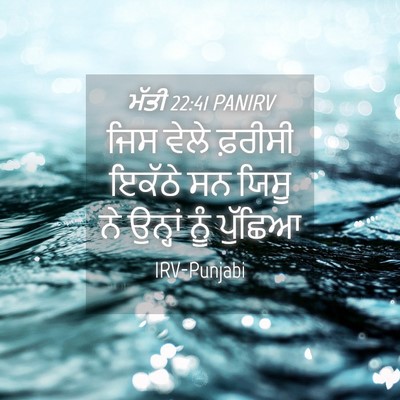 Picture 04 - ਮੱਤੀ 22:41 PANIRV - ਜਿਸ ਵੇਲੇ ਫ਼ਰੀਸੀ - Bible Verse Picture