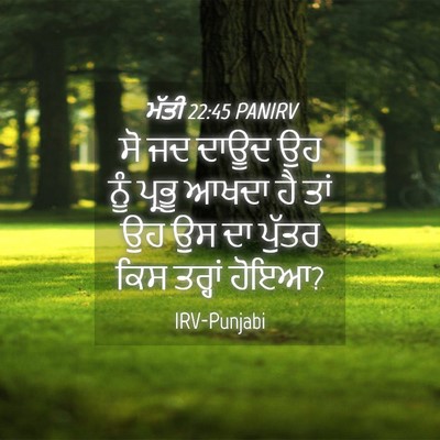 Picture 04 - ਮੱਤੀ 22:45 PANIRV - ਸੋ ਜਦ ਦਾਊਦ ਉਹ ਨੂੰ - Bible Verse Picture