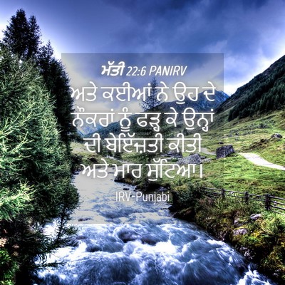 Picture 04 - ਮੱਤੀ 22:6 PANIRV - ਅਤੇ ਕਈਆਂ ਨੇ ਉਹ ਦੇ - Bible Verse Picture