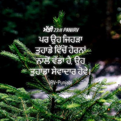 Picture 04 - ਮੱਤੀ 23:11 PANIRV - ਪਰ ਉਹ ਜਿਹੜਾ ਤੁਹਾਡੇ - Bible Verse Picture