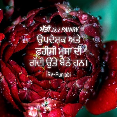 Picture 04 - ਮੱਤੀ 23:2 PANIRV - ਉਪਦੇਸ਼ਕ ਅਤੇ - Bible Verse Picture
