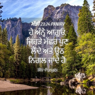 Picture 04 - ਮੱਤੀ 23:24 PANIRV - ਹੇ ਅੰਨ੍ਹੇ ਆਗੂਓ, - Bible Verse Picture