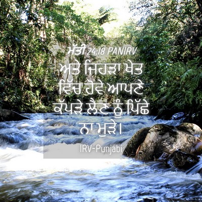 Picture 04 - ਮੱਤੀ 24:18 PANIRV - ਅਤੇ ਜਿਹੜਾ ਖੇਤ ਵਿੱਚ - Bible Verse Picture
