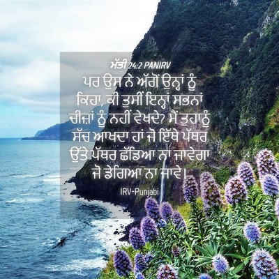 Picture 04 - ਮੱਤੀ 24:2 PANIRV - ਪਰ ਉਸ ਨੇ ਅੱਗੋਂ - Bible Verse Picture
