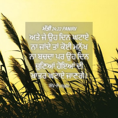 Picture 04 - ਮੱਤੀ 24:22 PANIRV - ਅਤੇ ਜੇ ਉਹ ਦਿਨ ਘਟਾਏ - Bible Verse Picture