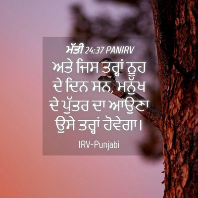Picture 04 - ਮੱਤੀ 24:37 PANIRV - ਅਤੇ ਜਿਸ ਤਰ੍ਹਾਂ ਨੂਹ - Bible Verse Picture